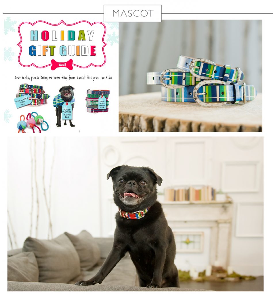 photography for mascot pet brand by j.nichole smith
