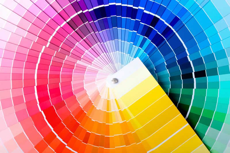 Season 2: How do I craft a brand?