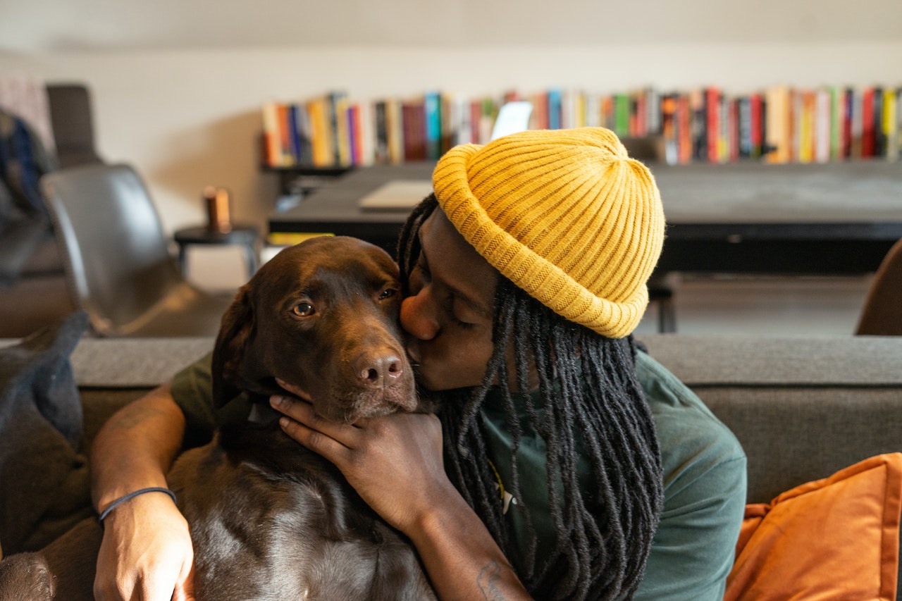 Man playing with dog – 1280×854