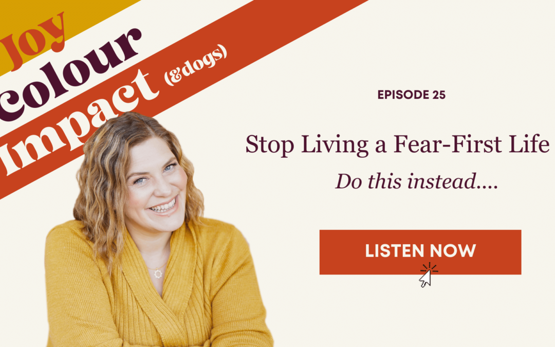 Joy-First™: How to Stop Living a Fear-First Existence